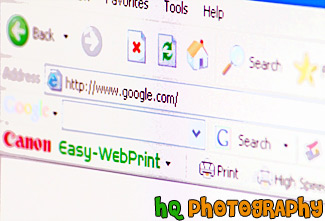 Google URL on Web Browser painting