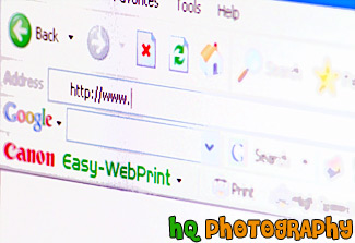 Address Bar on Web Browser painting