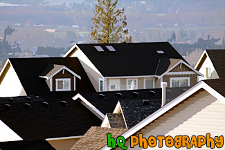 Tops of Roofs to Houses painting