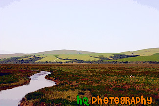 Marin County Fieldland and Hills painting