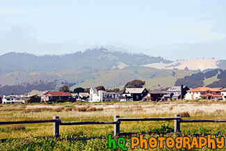 Half Moon Bay Hills & Houses painting