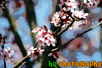 Close up of Spring Flowers in Bloom on Tree painting