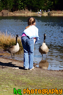 Girl Feeding Geese painting