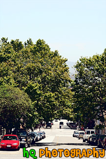 Road, Blue Sky & Leafy Trees painting