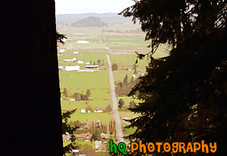 Country Land of Enumclaw, Washington painting