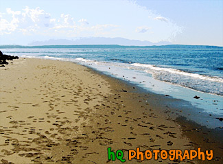 Beach at Alki painting