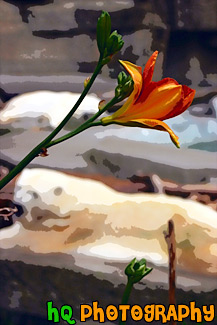 Red Flower With Bear in Background painting