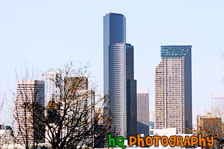 Tree & Seattle Skyscrapers painting