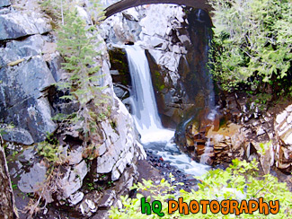 Christine Falls, Mt. Rainier National Forest painting