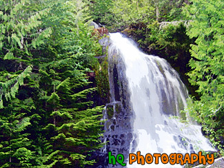 Falls Creek, Mt. Rainier National Forest painting