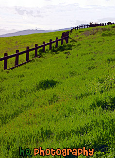 Bright Green Grass & Fence in Palo Alto painting