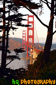 Golden Gate Bridge Through Trees painting