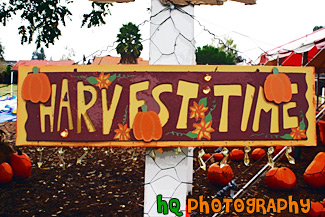 Harvest Time Sign painting