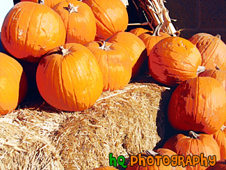 Hay &Pumpkins painting