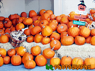 Halloween Pumpkins painting