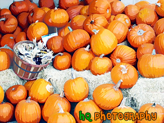 Basket & Pumpkins painting