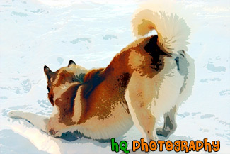 Husky in Snow painting