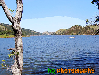 California Lake painting