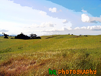 Rolling Hills in California painting