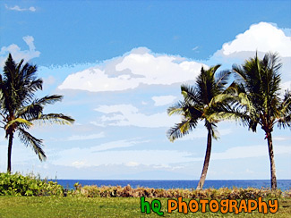 Three Palm Trees painting