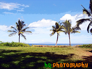 Three Palm Trees & Shadows in Hawaii painting