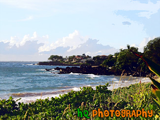 Waves of Maui painting