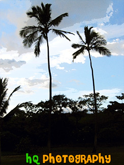 Two Palm Trees of Maui painting