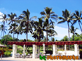 Resort & Pool at Makena Resort, Hawaii painting