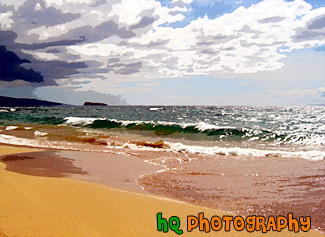 Maui Waves & Beach painting