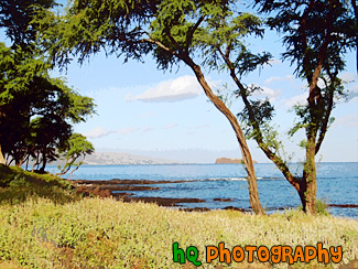 View of Maui & Ocean painting