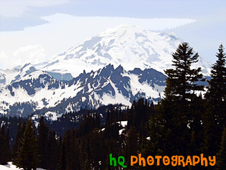 Mt. Rainier Close Up at Tipsoo Lake painting