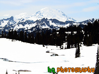 Mt. Rainier at Snowy Tipsoo Lake painting