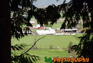 Farm Through Trees painting