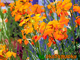 Orange Flowers painting