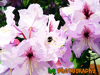 Purple Flowers & A Bee painting