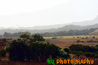 Foggy Landscape Scene painting