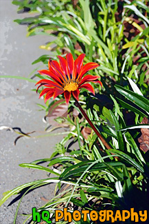 Scenic Red Flower painting