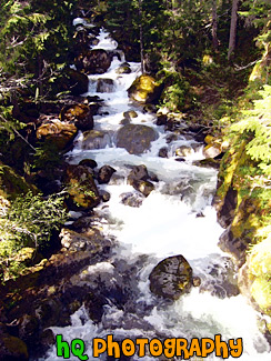 Nickel Creek, Mt. Rainier National Forest painting