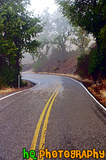 View of a Road painting