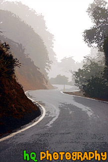 Curvy Road with Fog painting