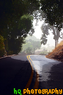 Road with Fog & Shadows painting