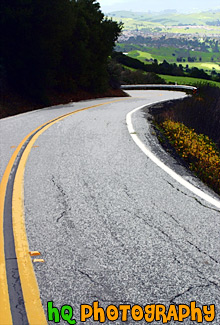 Road Leading to Green San Jose Hills painting