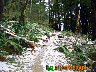 Mt. Peak Icy Trail painting