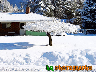 Snowy Tree painting