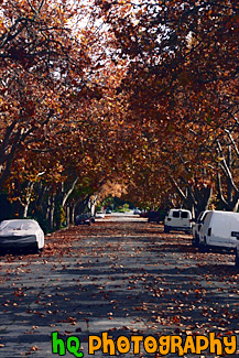 Fall Colors on Trees & Road painting