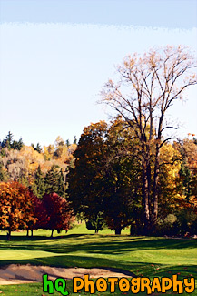 Fall Colors on Golf Course painting