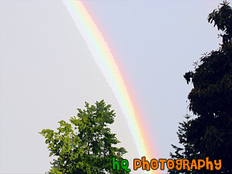 Bright Rainbow painting