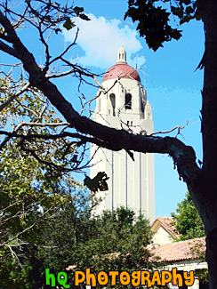 Stanford University, California painting