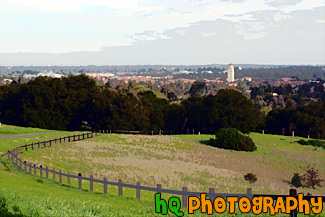 Stanford University Hill Scene painting