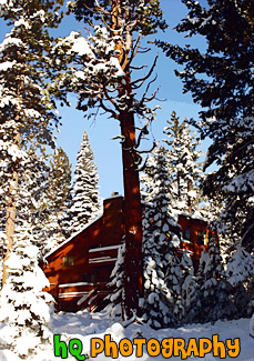 Cabin Scene in Lake Tahoe painting